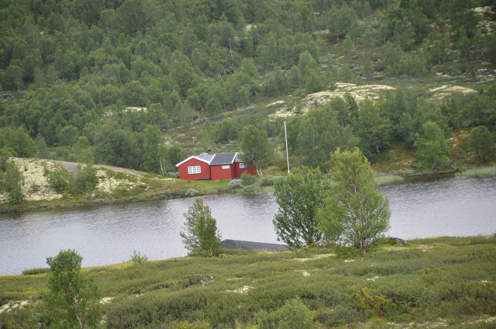 Norwegen-0851-50 (Grimsdal) DSC_5397