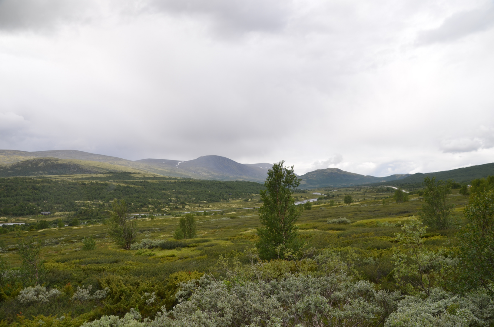 Norwegen-0852-50 (Grimsdal) DSC_5399