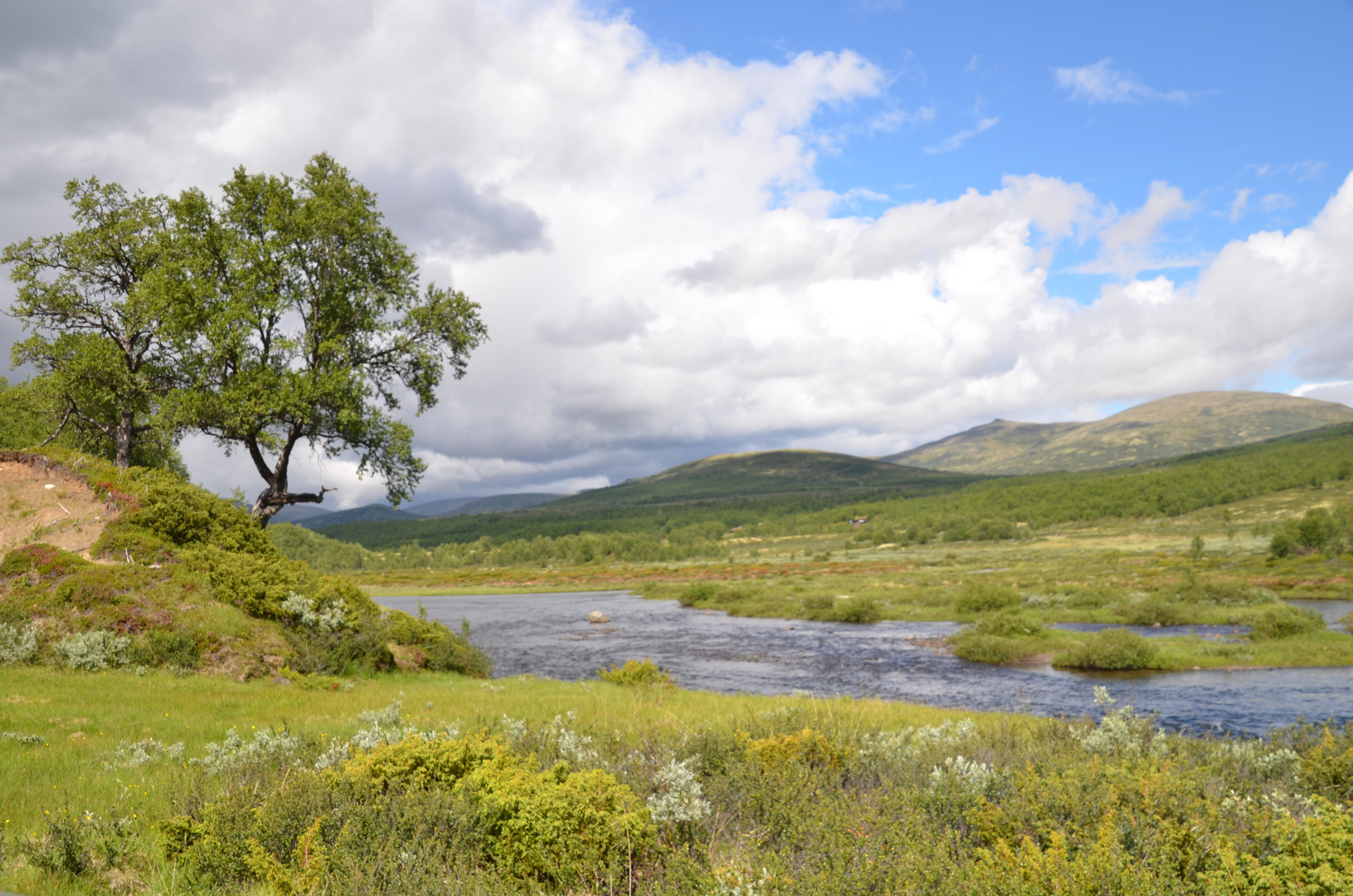 Norwegen-0861-50 (Grimsdal) DSC_5413