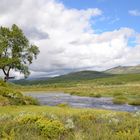 Norwegen-0861-50 (Grimsdal) DSC_5413