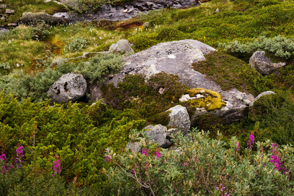 Norwegen 2008 20