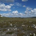 NORWEGEN 2008 - Wanderung durch die Hardangervidda