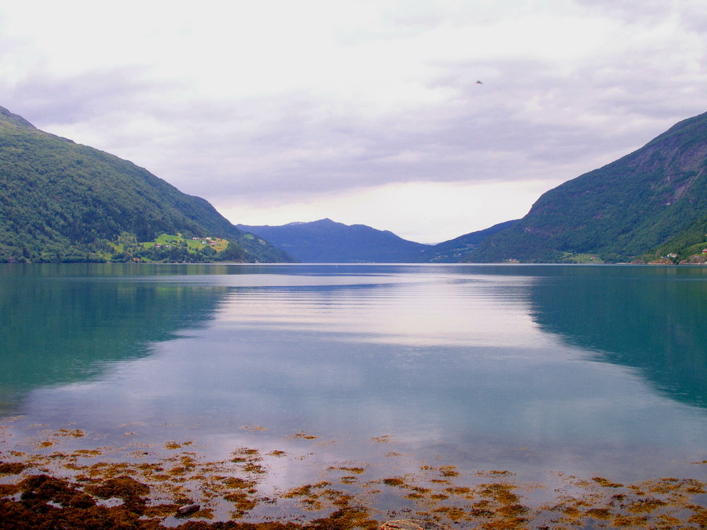 Norwegen 21 " FJORD LANDSCHAFT "