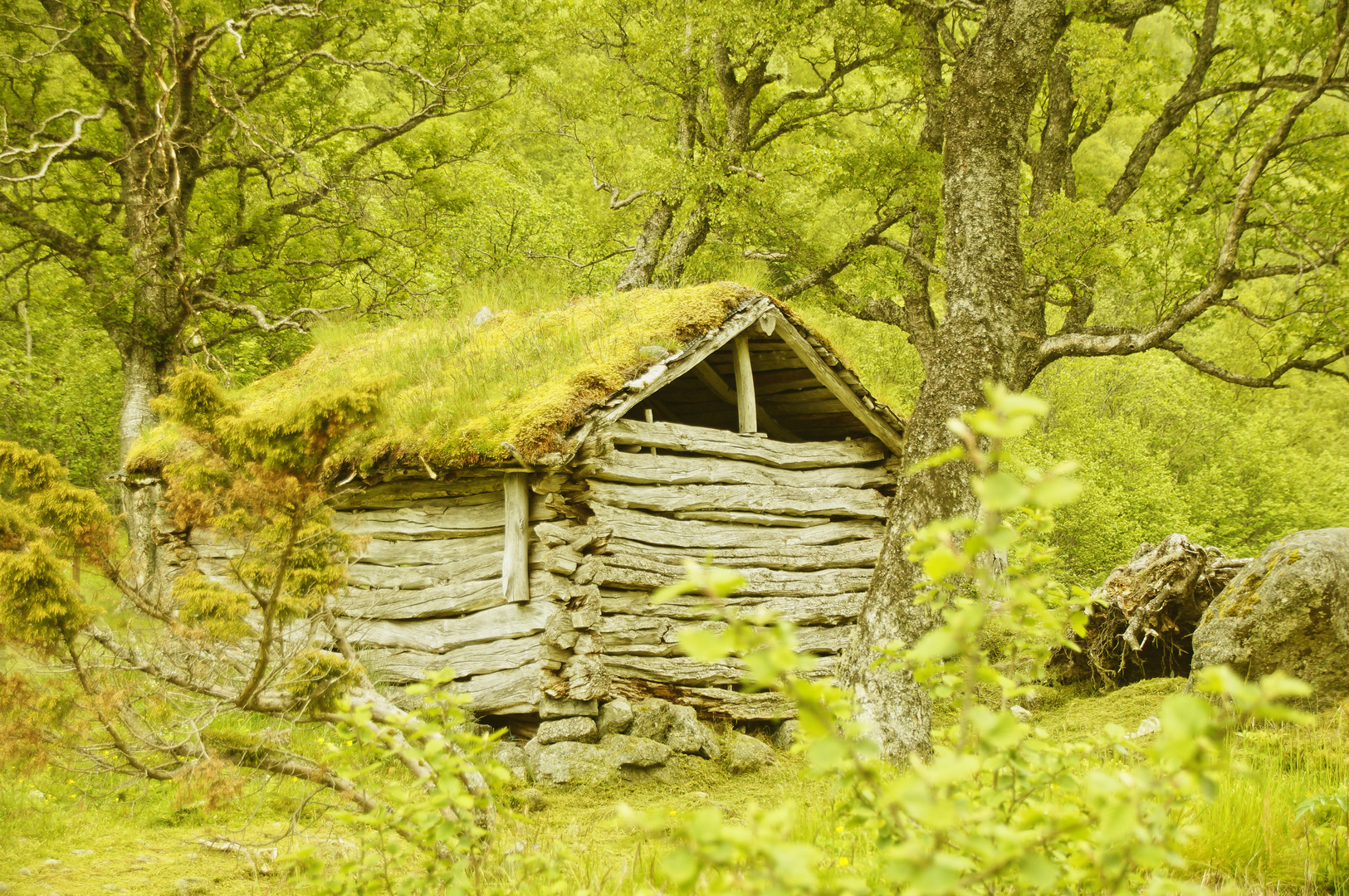 Norwegen Alte Hütte 