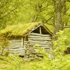 Norwegen Alte Hütte 