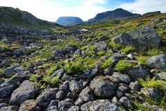 Norwegen am See Ulevatnet