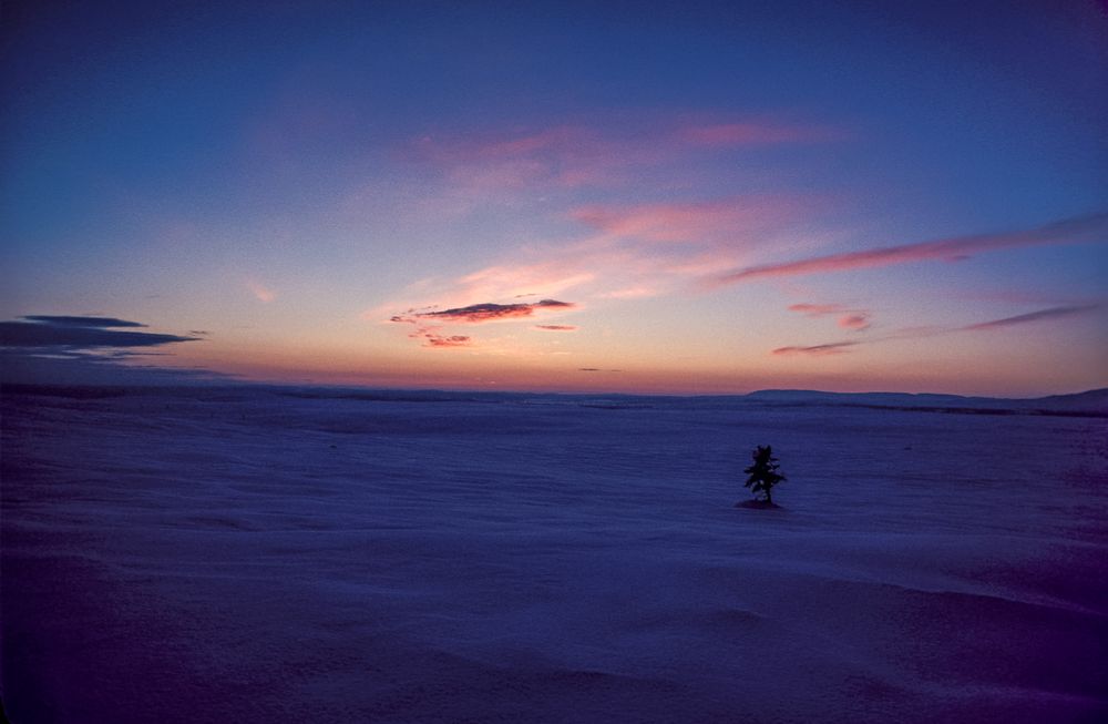 Norwegen  auf dem Fjell nach Sonnenuntergang