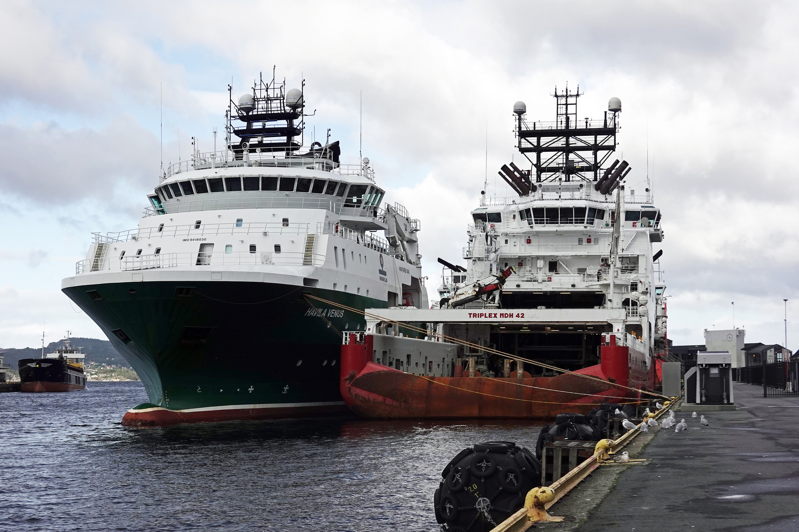 Norwegen - Bergen - Hafen