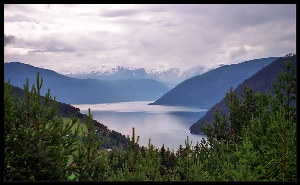 Norwegen - Blick auf den Sognefjord