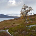 Norwegen ende September 