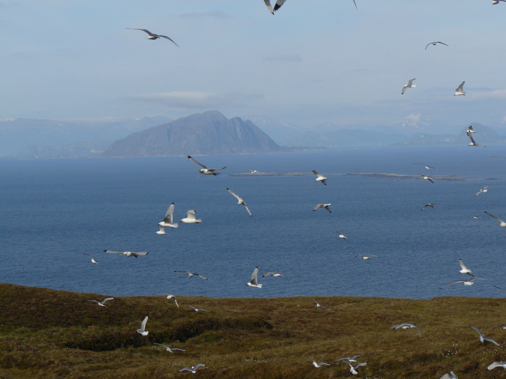 Norwegen: Fjordblick von der Insel Runde