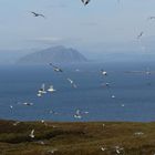 Norwegen: Fjordblick von der Insel Runde