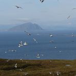 Norwegen: Fjordblick von der Insel Runde