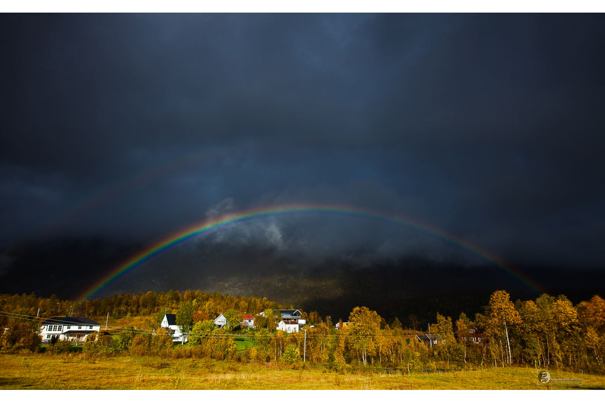 Norwegen Fotosafari