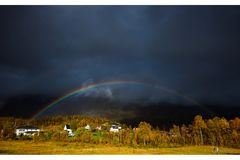 Norwegen Fotosafari