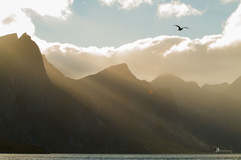 Norwegen Fotosafari 2