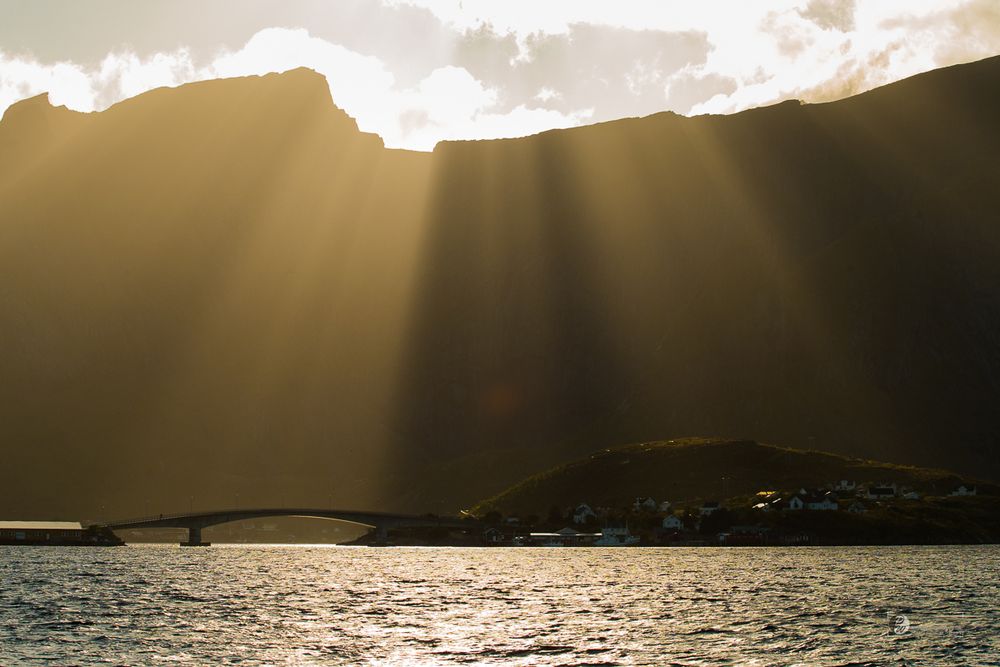 Norwegen Fotosafari 3