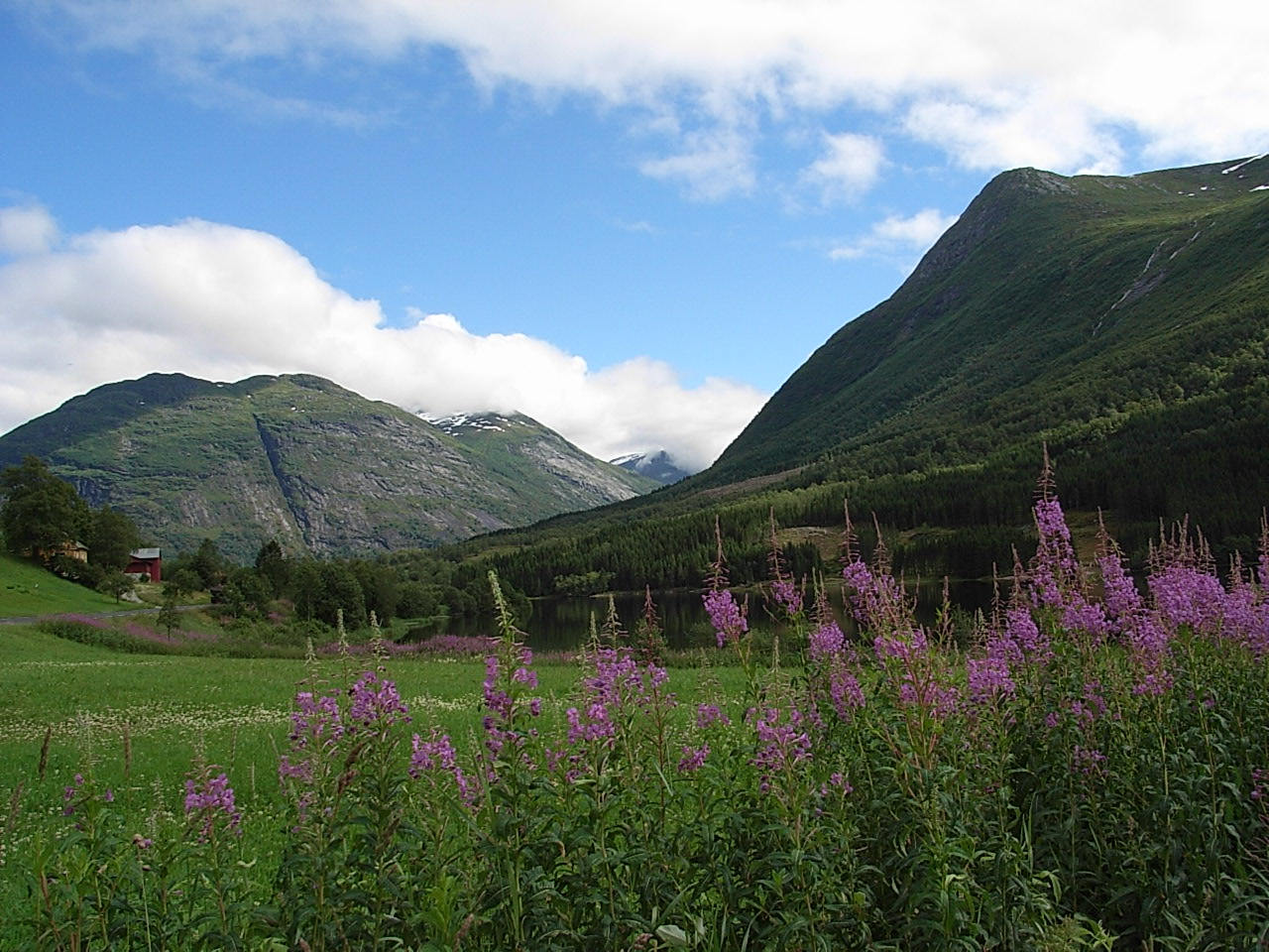 Norwegen halt :)