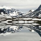 Norwegen - Hardangervidda