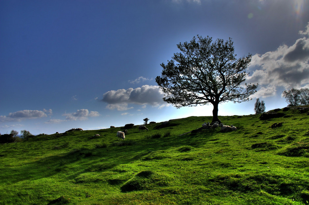 - - - Norwegen HDR - - -