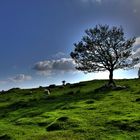 - - - Norwegen HDR - - -