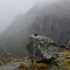 Norwegen im  September 