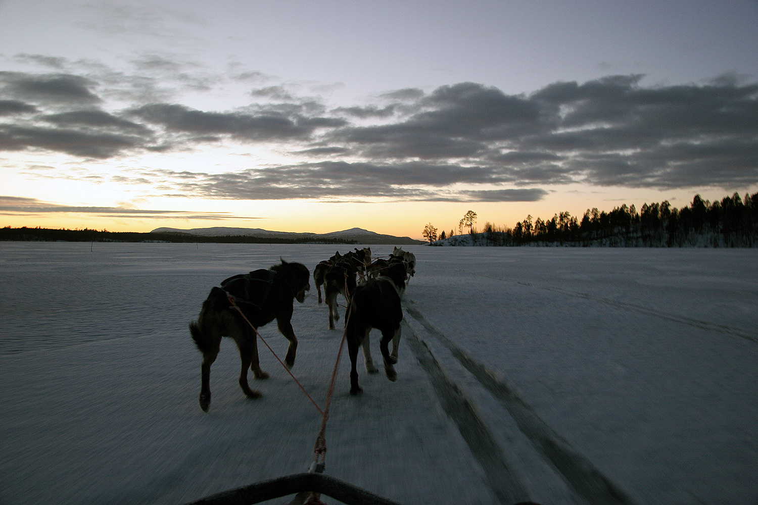 Norwegen, mit Schlittenhunden unterwegs bei -15ºC auf einem See nahe Kirkenes