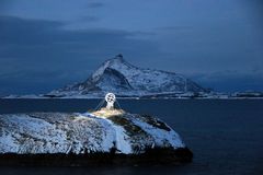 Norwegen - Nördlicher Polarkreis