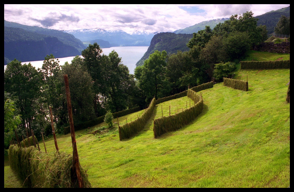 Norwegen: Nordfjord - Nordsida