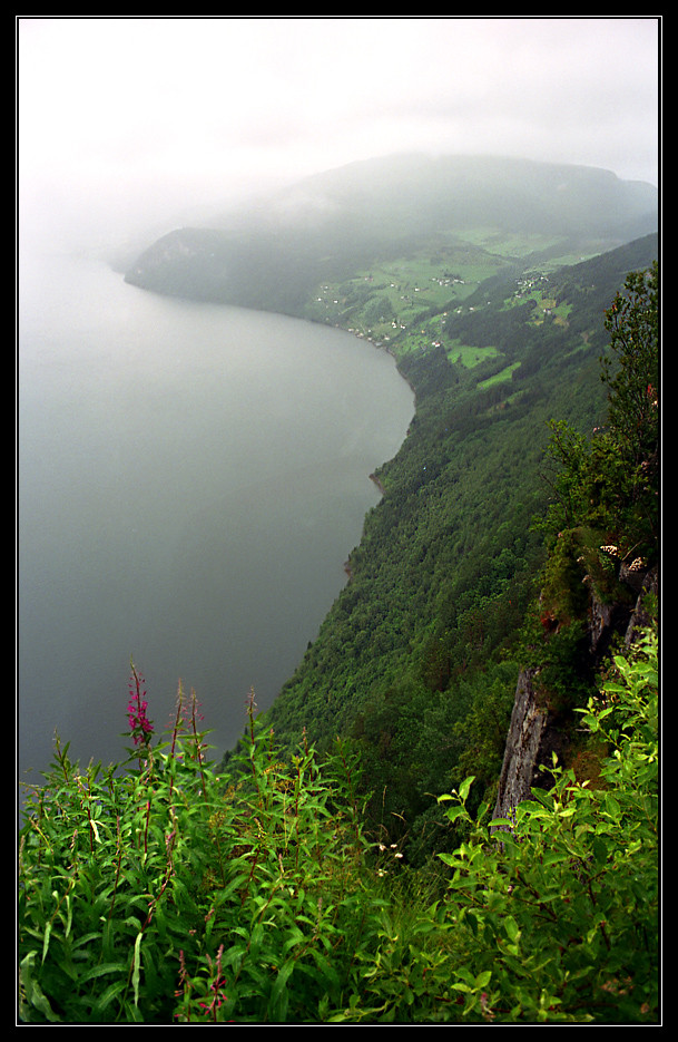 Norwegen - Nordfjord von oben