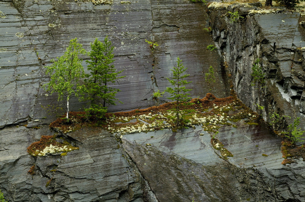 Norwegen pur