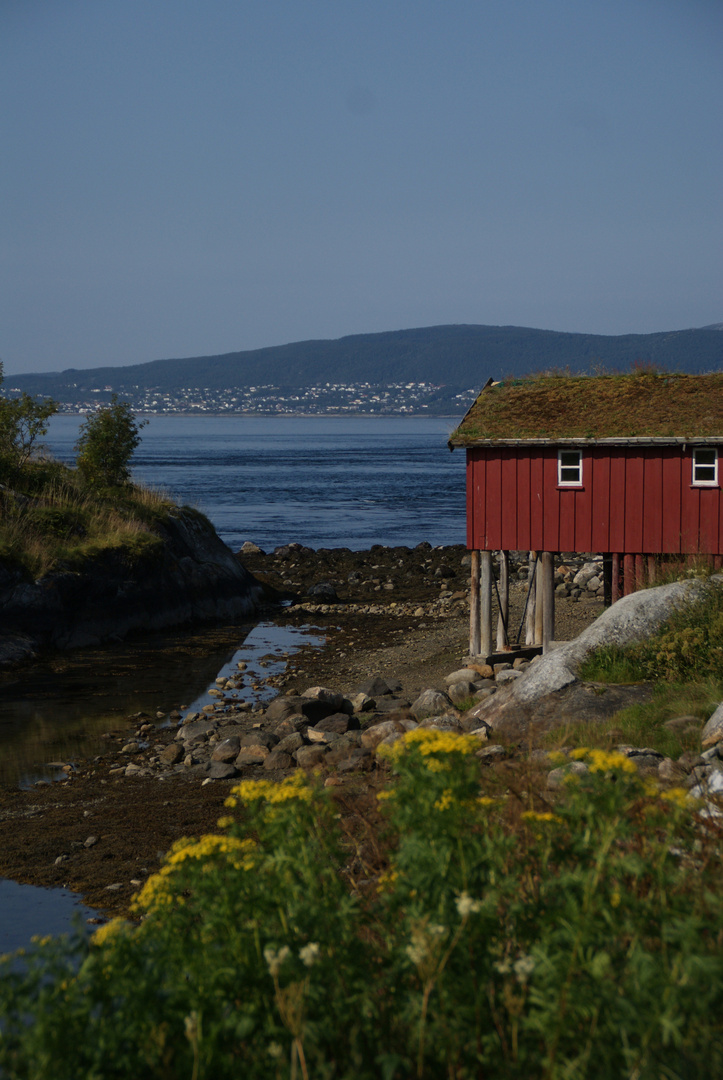 Norwegen, Saltstraumen