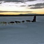 Norwegen, Schlittenhunde unterwegs bei -15ºC auf einem See nahe Kirkenes