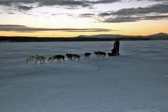 Norwegen, Schlittenhunde unterwegs bei -15ºC auf einem See nahe Kirkenes