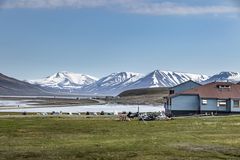 Norwegen-Spitzbergen-4280