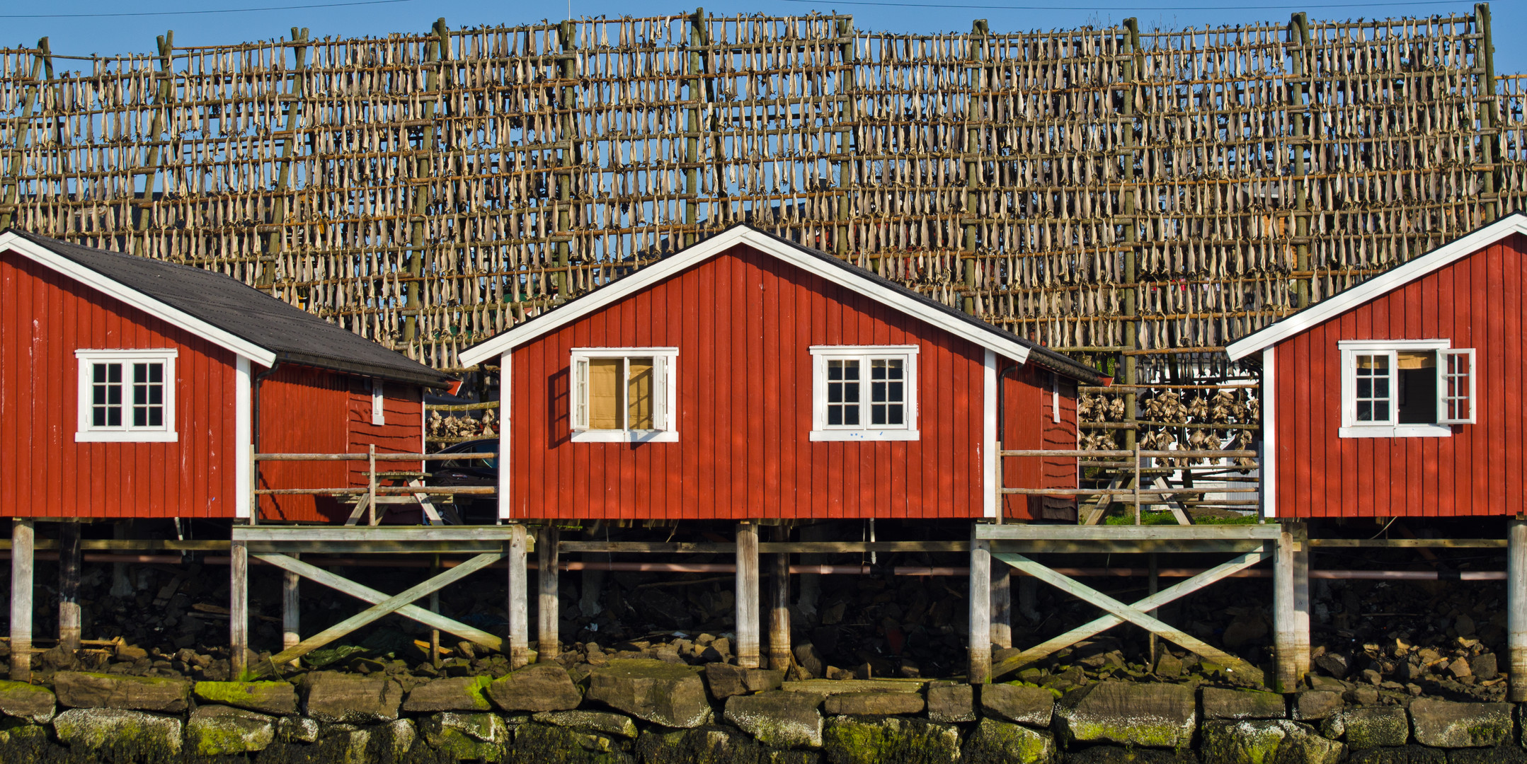 Norwegen: Stockfisch von den Lofoten