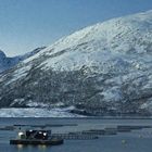 Norwegen - Vesterålen and Lofoten