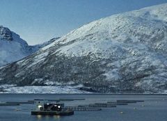 Norwegen - Vesterålen and Lofoten