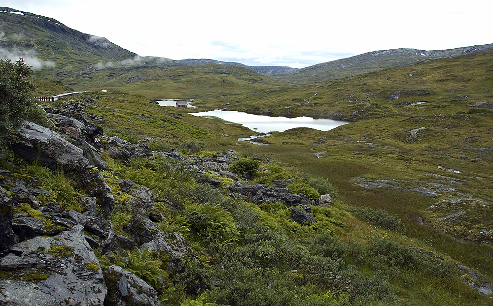 Norwegen - Vikafjell