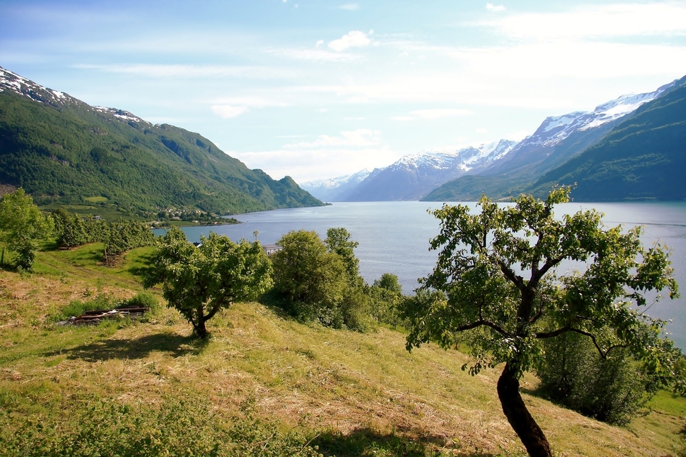 Norwegen…ein Traum von Fjord