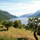 Norwegen…ein Traum von Fjord