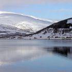 Norwegentour mit Hurtigruten