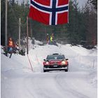 Norweger (1)