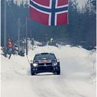 Norweger (4)