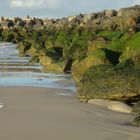 Norweger auf Helgoland ...