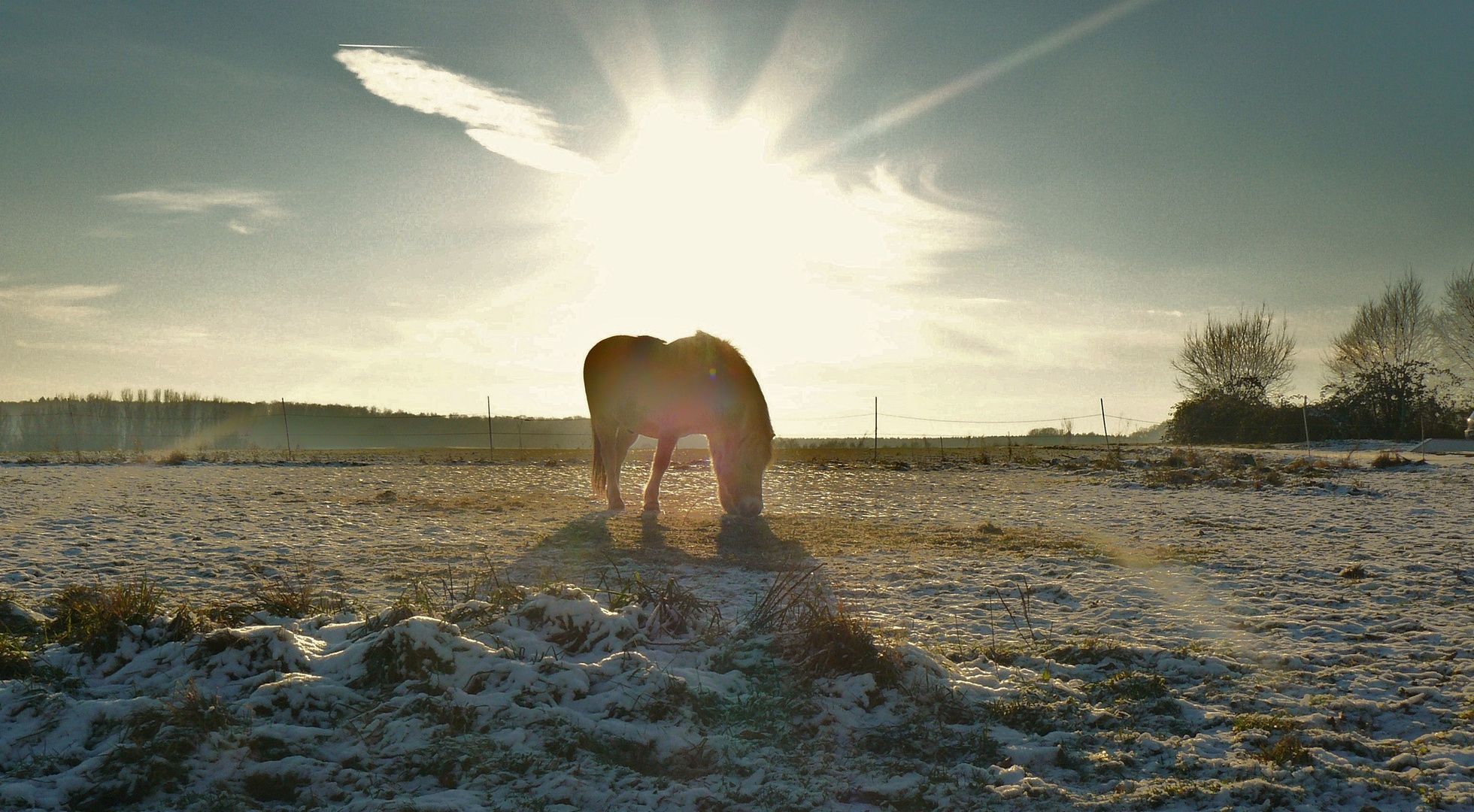 Norweger im Schnee