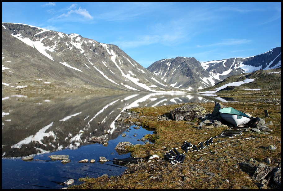 norwegian blues