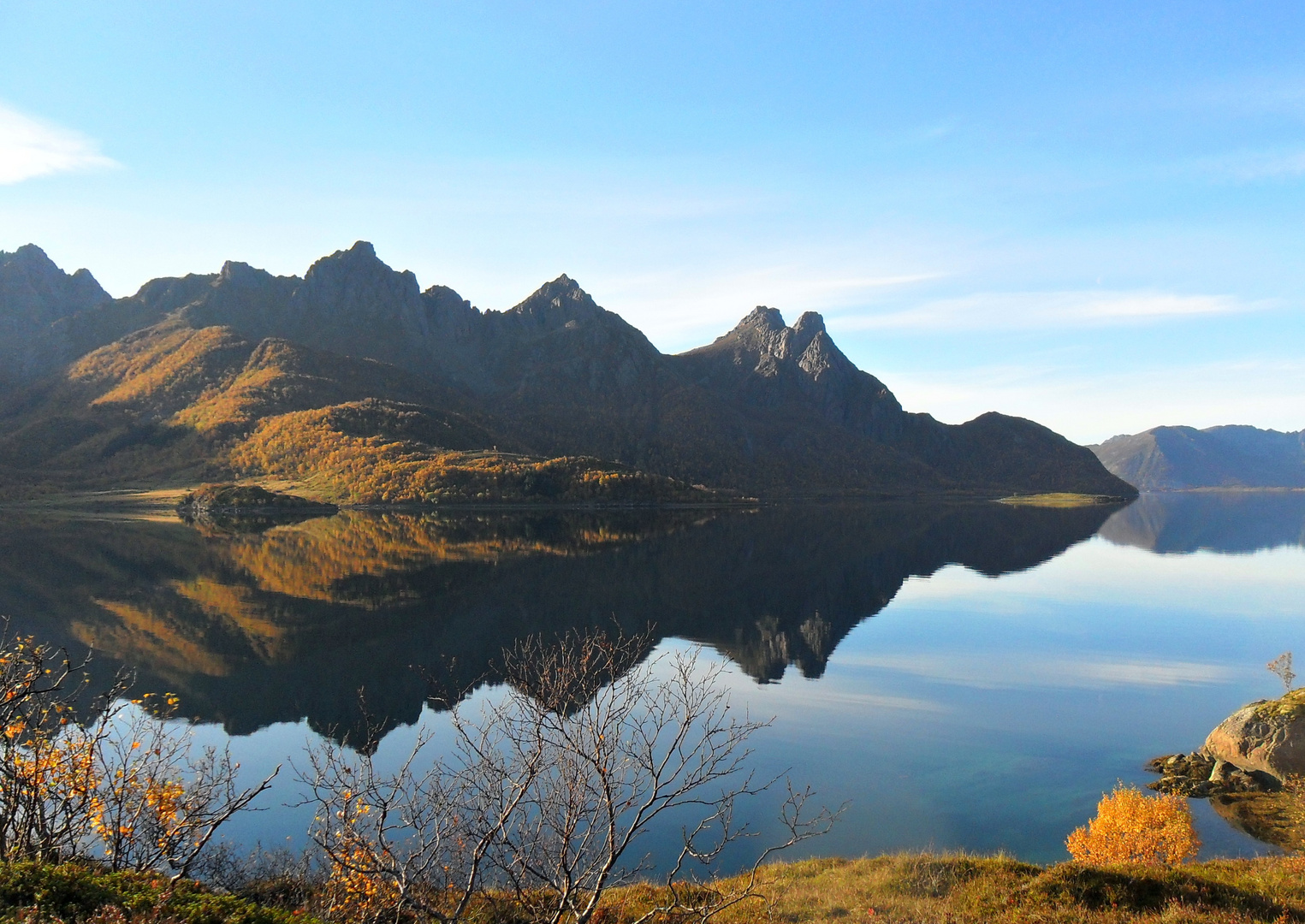 Norwegian Fjord