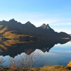 Norwegian Fjord