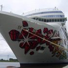 Norwegian Gem